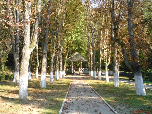 Aleea cu platani din Parcul Băilor, Băile Govora, toamna