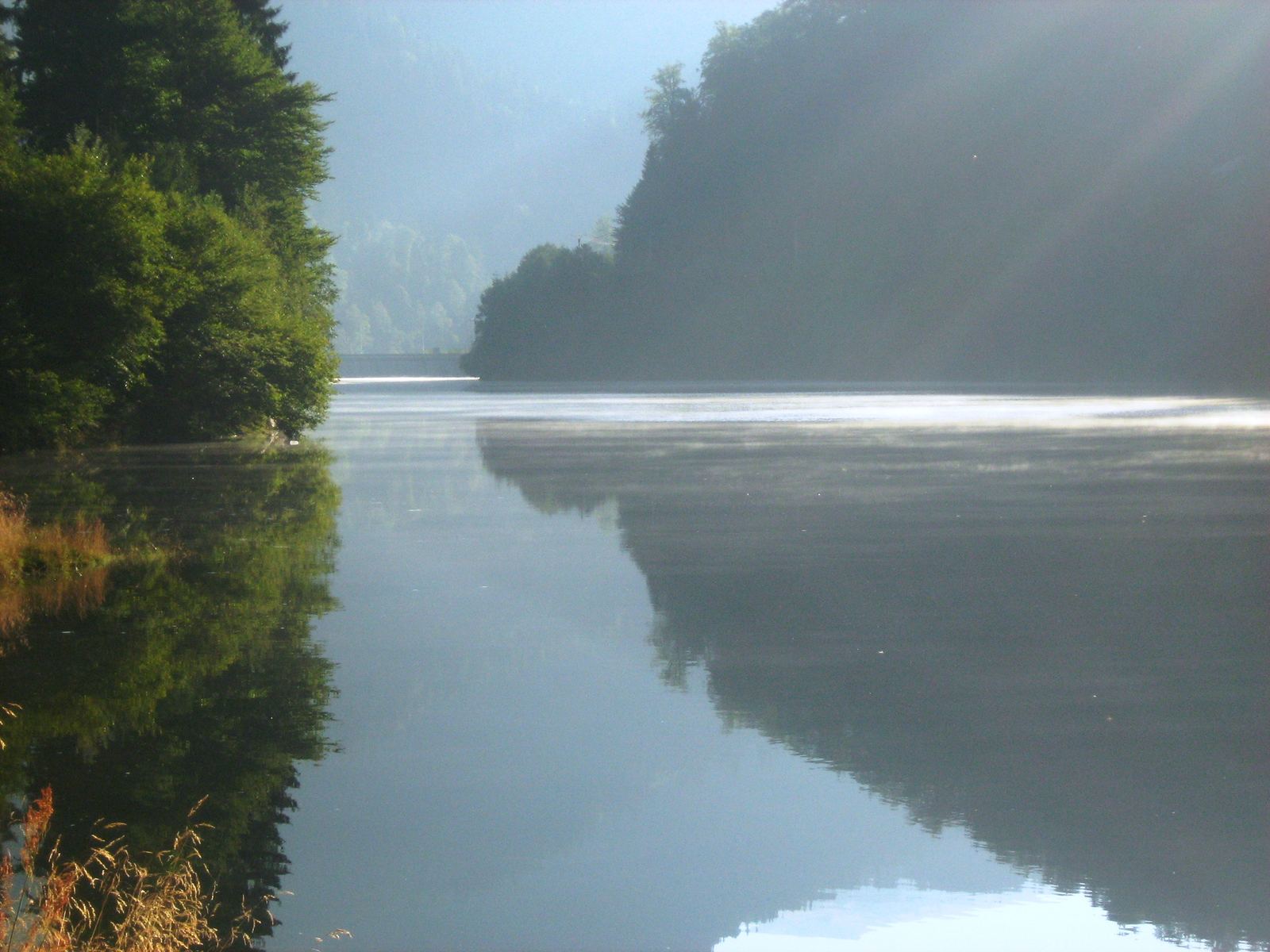 Dimineață cu ceață pe Lacul Petrimanu, pe Valea Latoriței